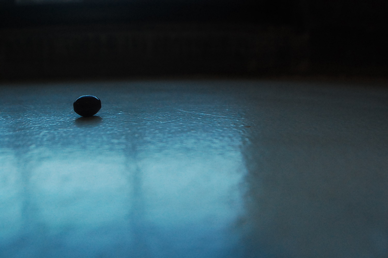 Photograph of Button by Jennifer Kaplan